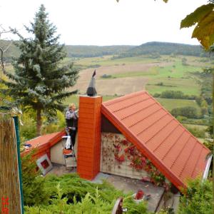 Dachdecker