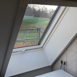 Dachfenster & Fenster