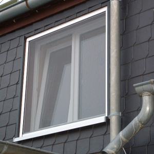 Dachfenster & Fenster